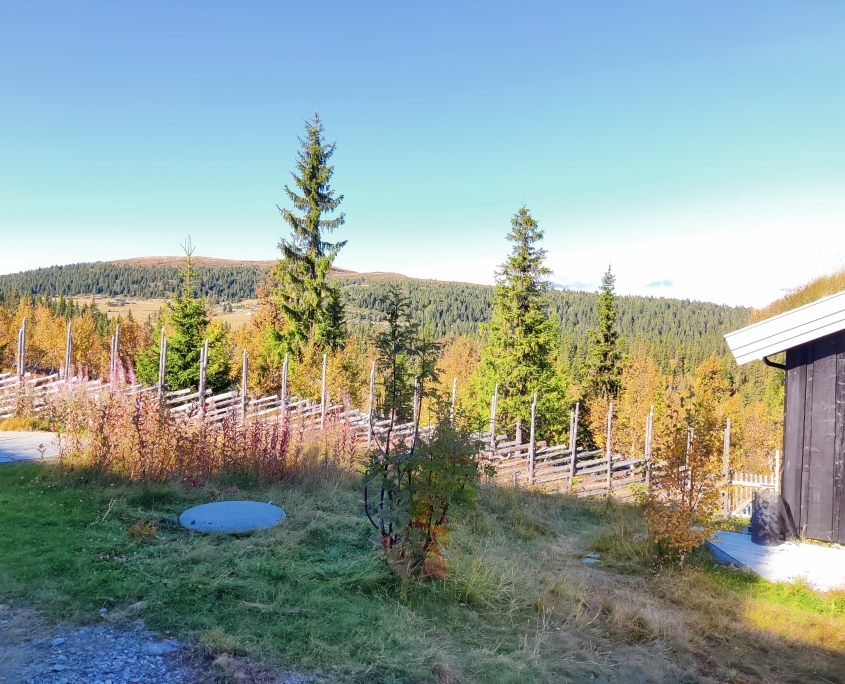 Wallax mini går i ett i naturen.